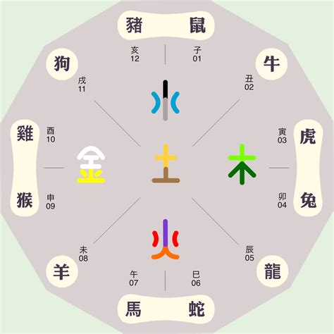 申 五行|十二地支详解：申代表什么含义